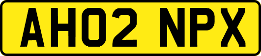 AH02NPX