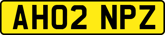 AH02NPZ