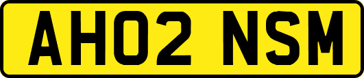 AH02NSM