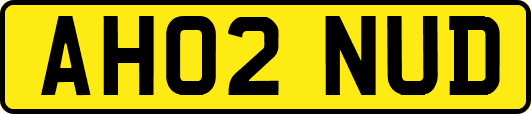 AH02NUD