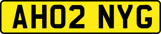 AH02NYG
