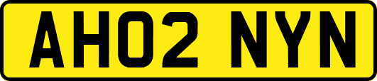 AH02NYN