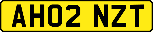 AH02NZT