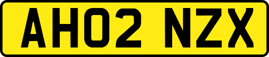 AH02NZX