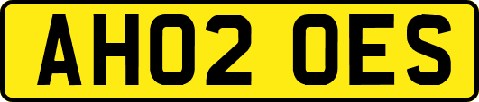 AH02OES