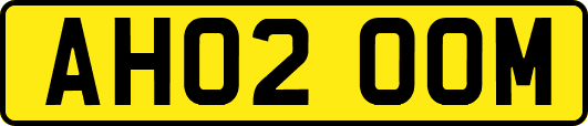 AH02OOM