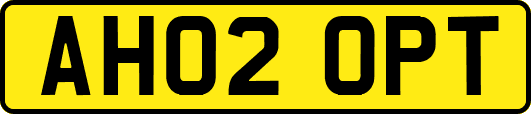 AH02OPT
