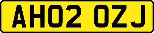 AH02OZJ
