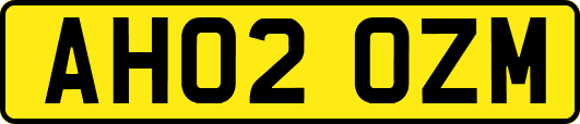 AH02OZM