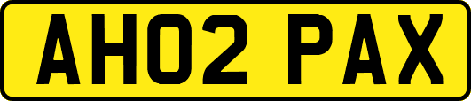 AH02PAX