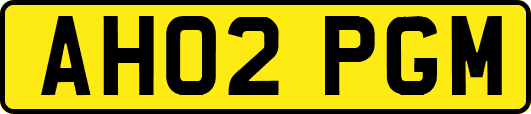AH02PGM