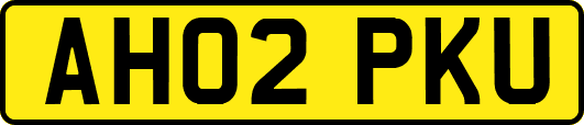 AH02PKU