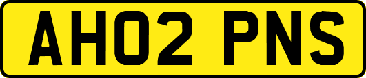 AH02PNS