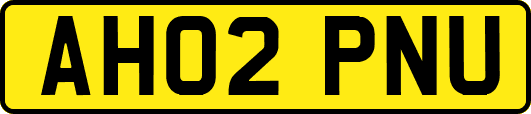 AH02PNU