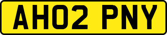 AH02PNY