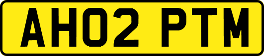 AH02PTM