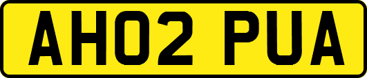 AH02PUA