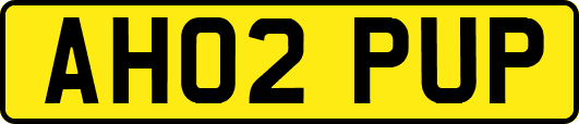 AH02PUP