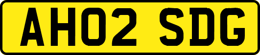 AH02SDG