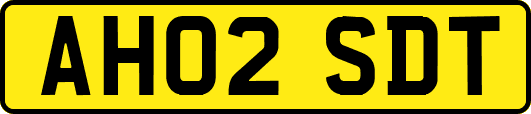 AH02SDT