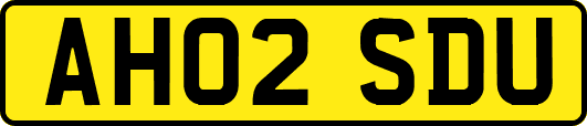 AH02SDU