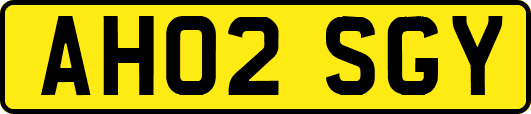 AH02SGY