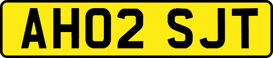 AH02SJT