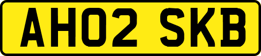 AH02SKB