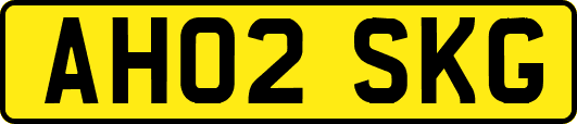 AH02SKG