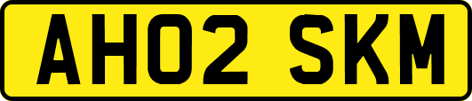 AH02SKM