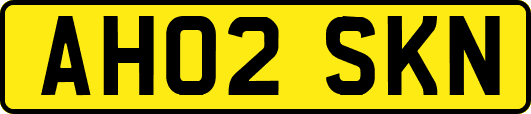 AH02SKN