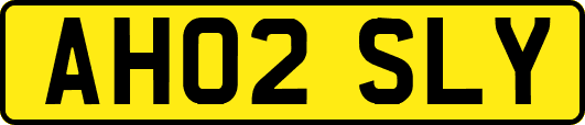 AH02SLY