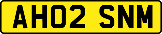 AH02SNM