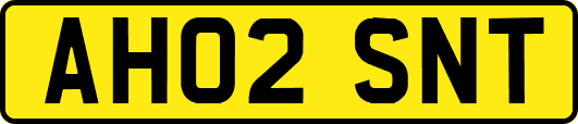 AH02SNT