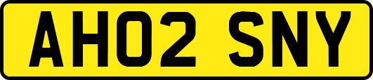 AH02SNY