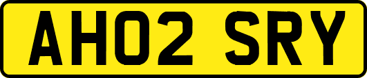 AH02SRY