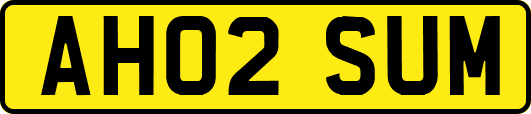AH02SUM
