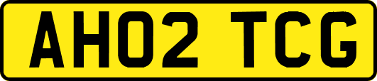 AH02TCG