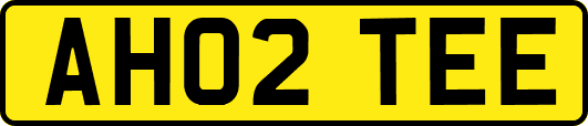 AH02TEE