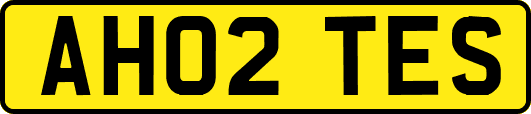 AH02TES