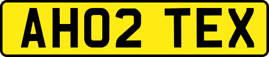 AH02TEX