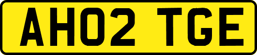 AH02TGE