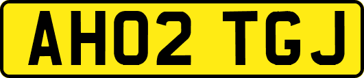 AH02TGJ