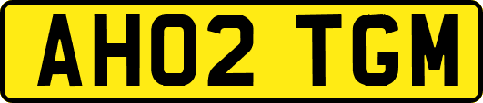 AH02TGM