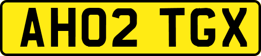 AH02TGX