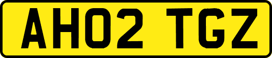 AH02TGZ