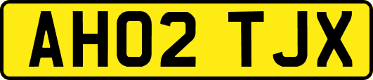 AH02TJX