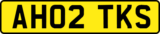 AH02TKS