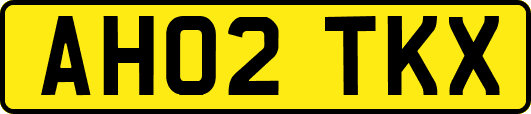 AH02TKX