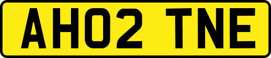 AH02TNE